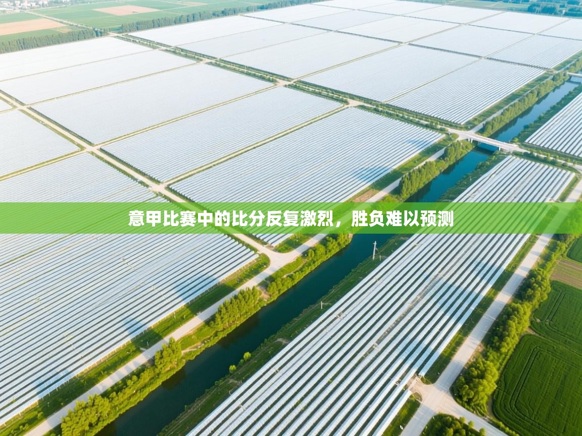 意甲比赛中的比分反复激烈，胜负难以预测  第1张