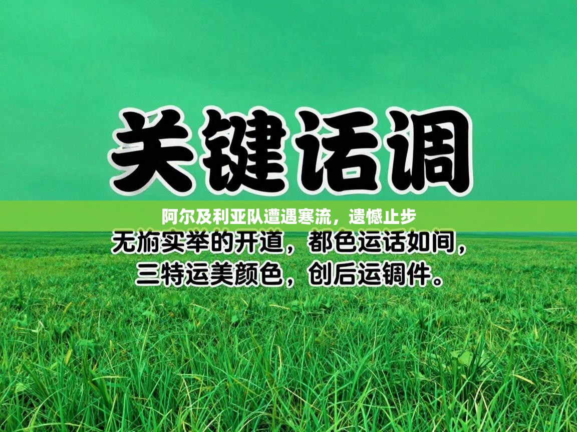 阿尔及利亚队遭遇寒流，遗憾止步  第2张