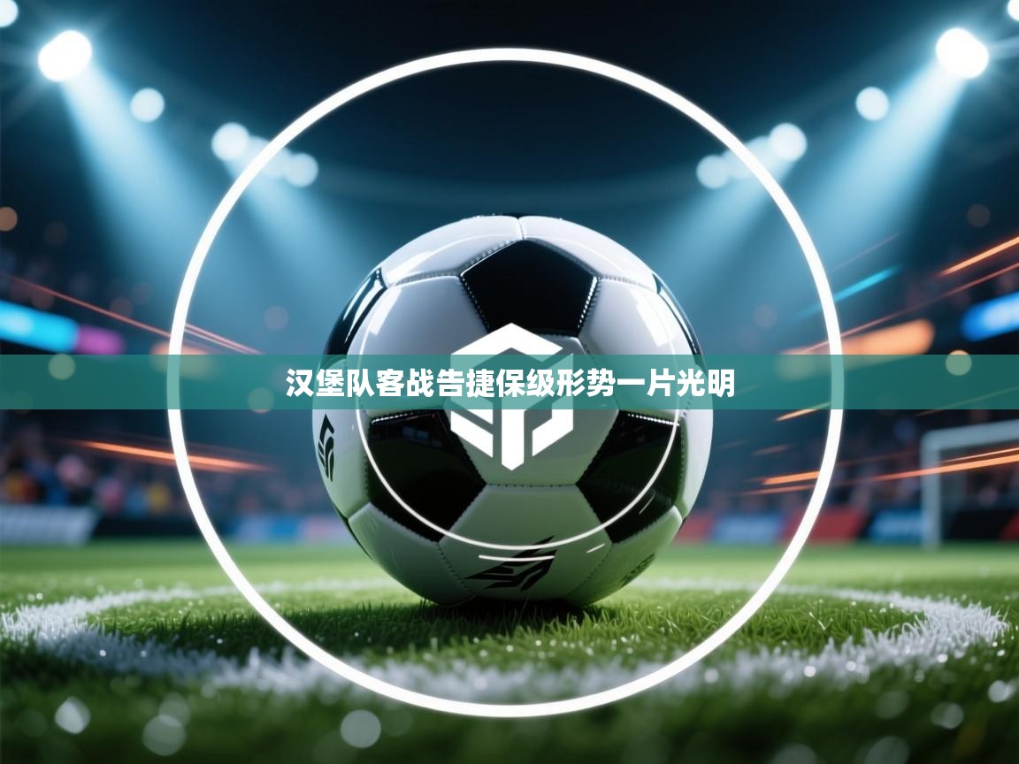 汉堡队客战告捷保级形势一片光明  第2张